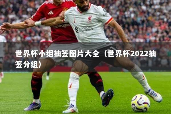 世界杯小组抽签图片大全（世界杯2022抽签分组）