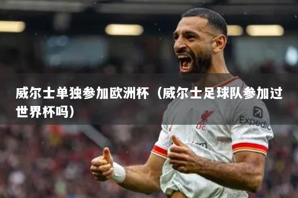 威尔士单独参加欧洲杯（威尔士足球队参加过世界杯吗）