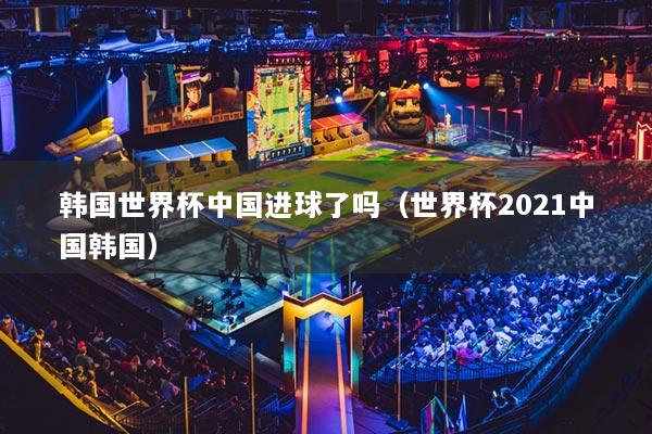 韩国世界杯中国进球了吗（世界杯2021中国韩国）