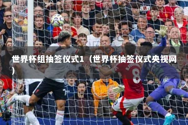 世界杯组抽签仪式1（世界杯抽签仪式央视网）
