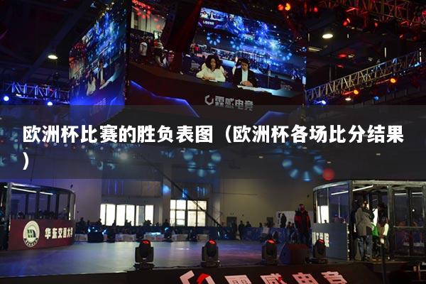 欧洲杯比赛的胜负表图（欧洲杯各场比分结果）