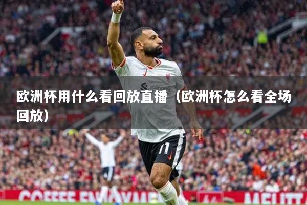 欧洲杯用什么看回放直播(欧洲杯怎么看全场回放)