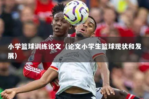 小学篮球训练论文(论文小学生篮球现状和发展)