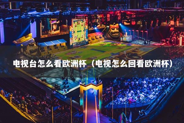 电视台怎么看欧洲杯(电视怎么回看欧洲杯)