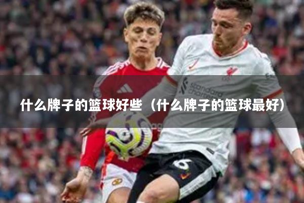 什么牌子的篮球好些(什么牌子的篮球最好)