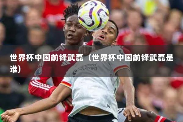 世界杯中国前锋武磊（世界杯中国前锋武磊是谁）