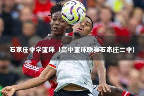 石家庄中学篮球（高中篮球联赛石家庄二中）