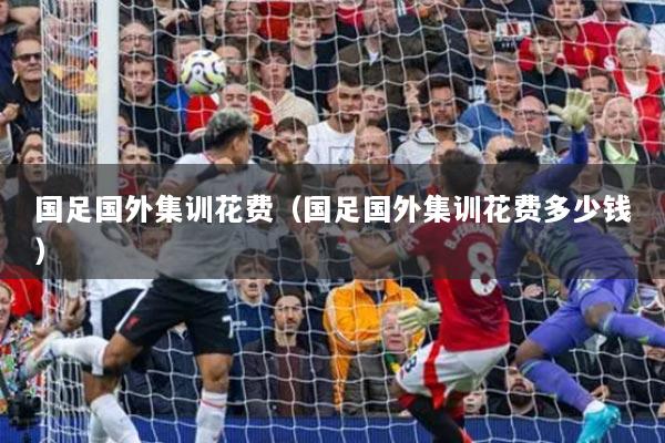国足国外集训花费(国足国外集训花费多少钱)