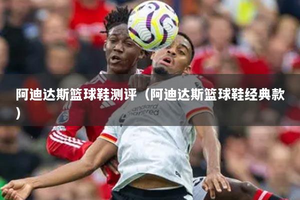 阿迪达斯篮球鞋测评（阿迪达斯篮球鞋经典款）