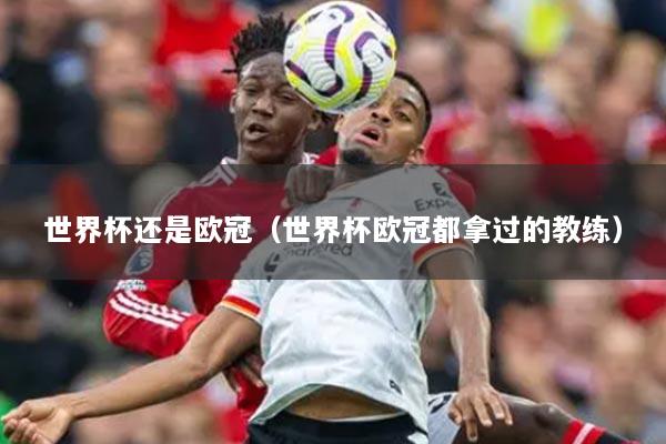 世界杯还是欧冠（世界杯欧冠都拿过的教练）