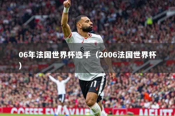06年法国世界杯选手（2006法国世界杯）
