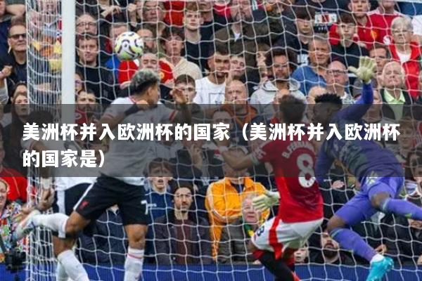 美洲杯并入欧洲杯的国家(美洲杯并入欧洲杯的国家是)